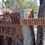 Cabanas Lodge Patagonia Truful