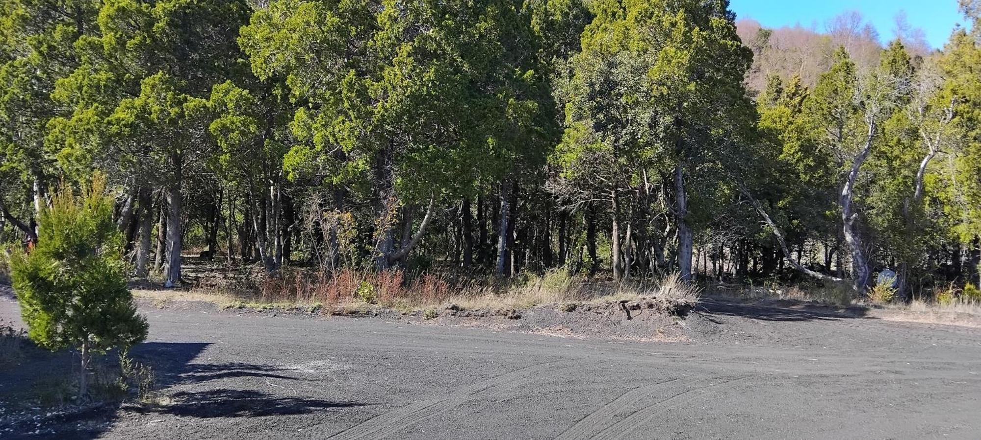 Patagonia Truful Casa de férias Melipeuco