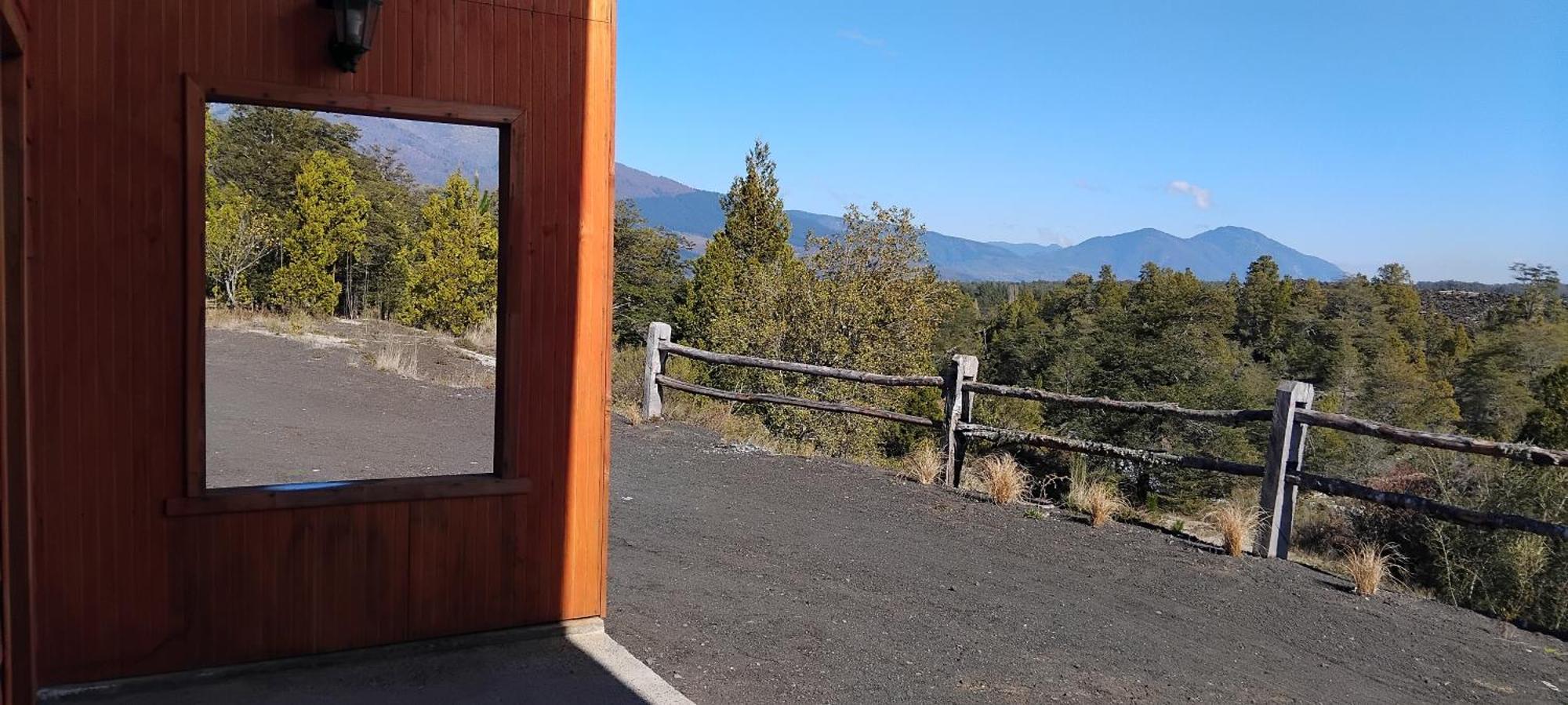 Patagonia Truful *