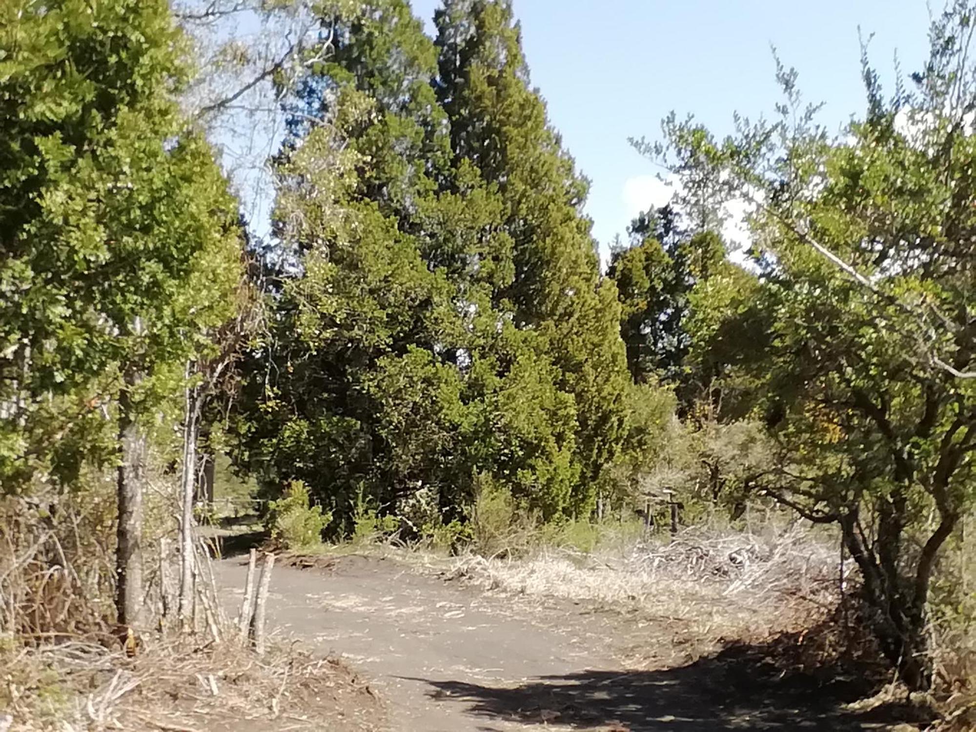 Patagonia Truful Casa de férias Melipeuco