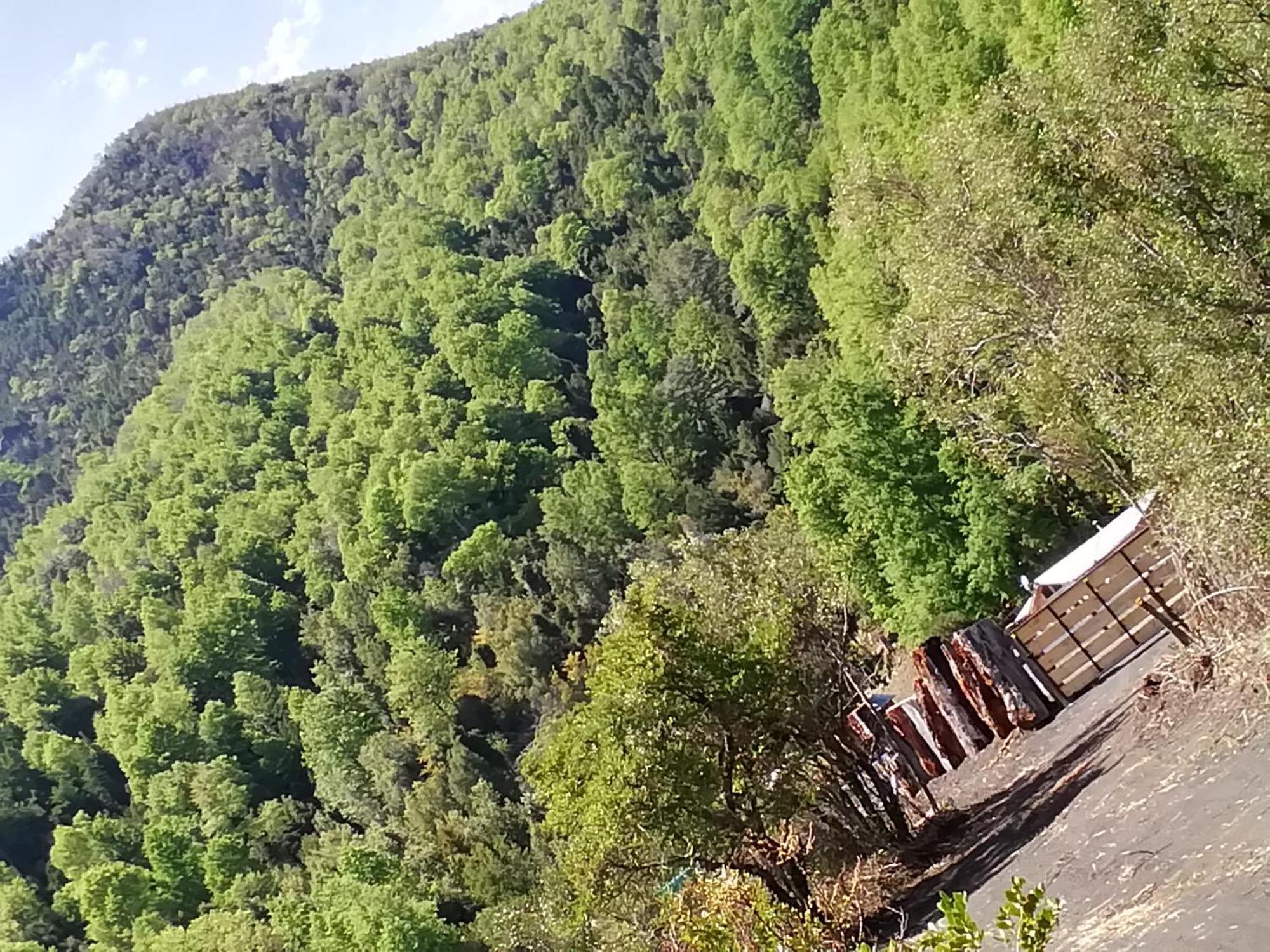 Patagonia Truful