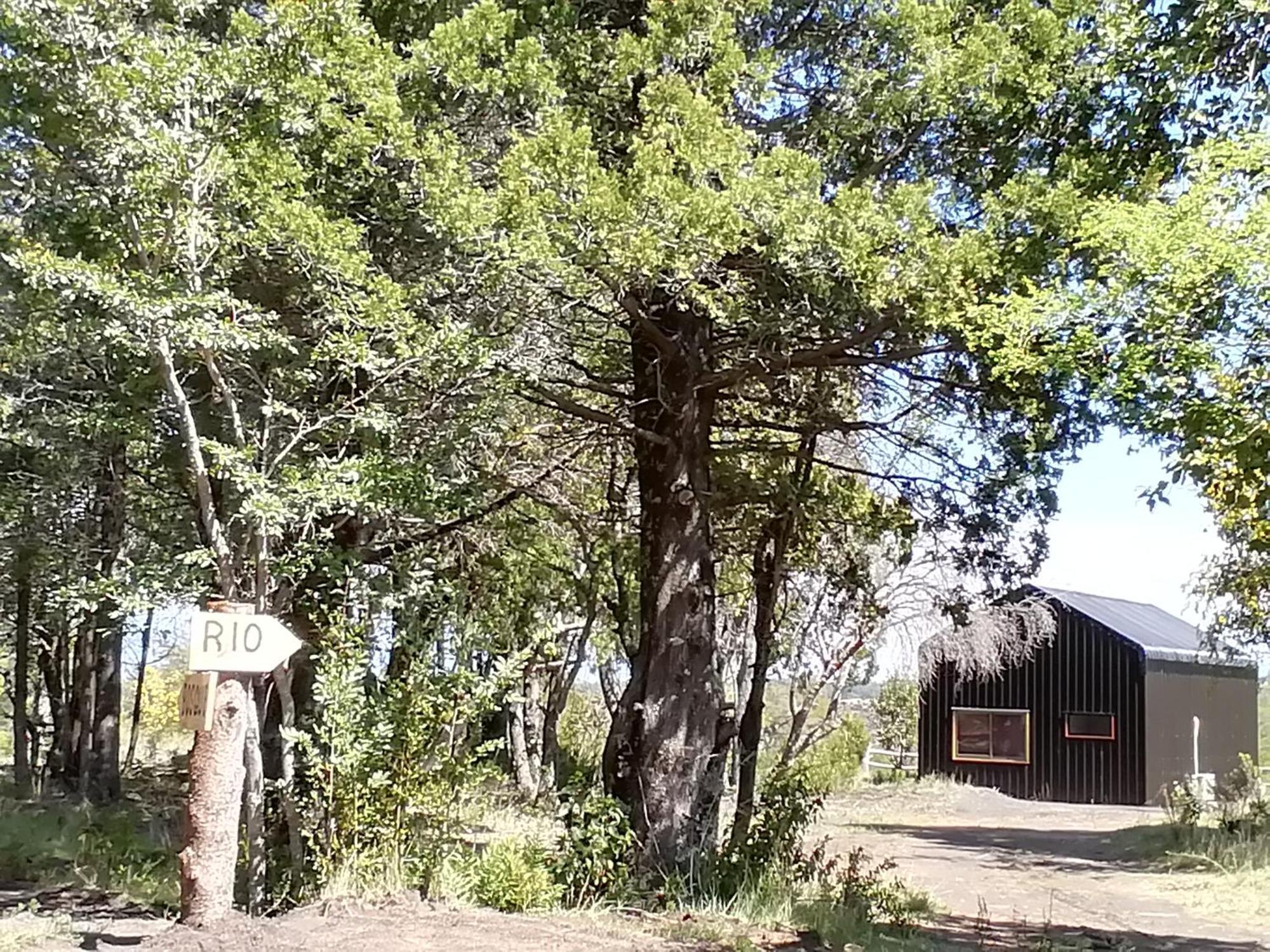 Holiday home Patagonia Truful *