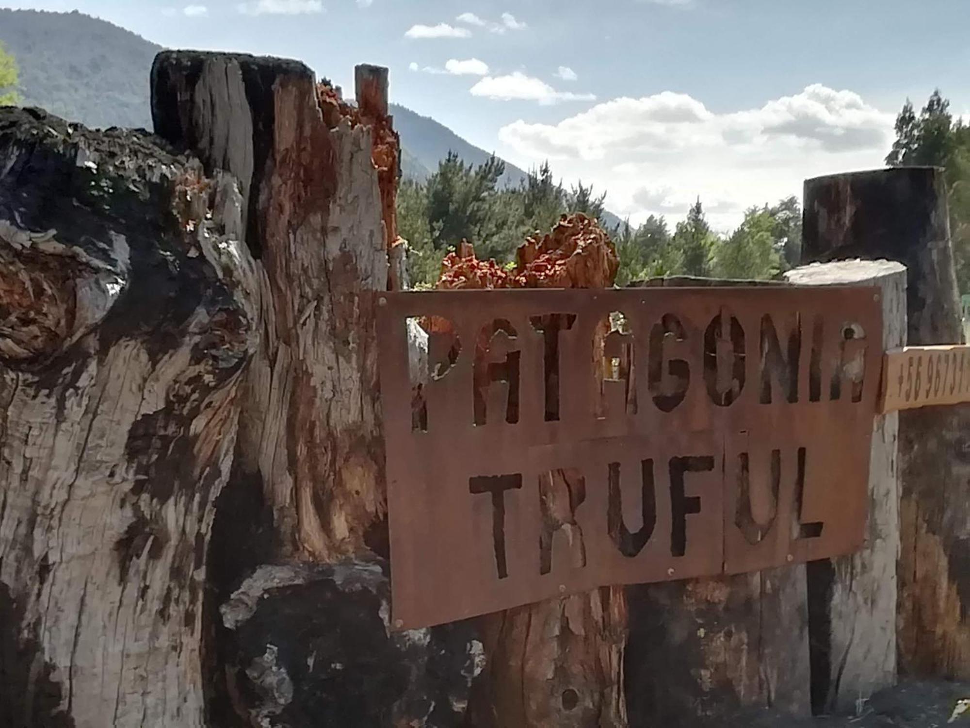 Holiday home Patagonia Truful
